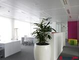 Bureaux à louer dans PRINCESSE RESIDENCE  +5