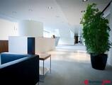 Bureaux à louer dans LOUISE 523 LEGRAND  +6