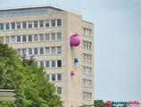 Bureaux à louer dans QUATRE BRAS   +4