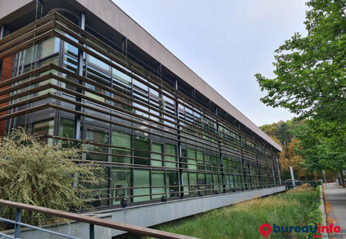 Bureaux à louer dans Bureau - Watermael-Boitsfort 805 m²