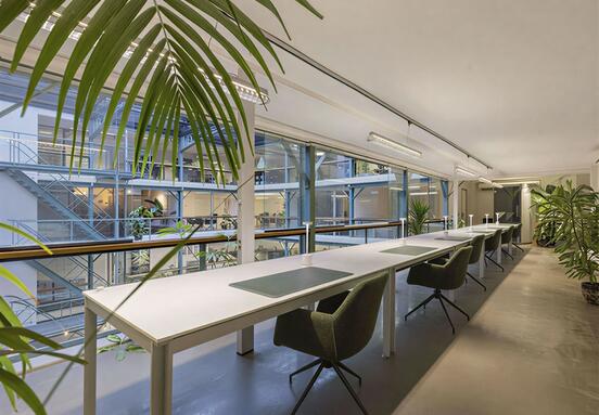 Espace de coworking Botanic